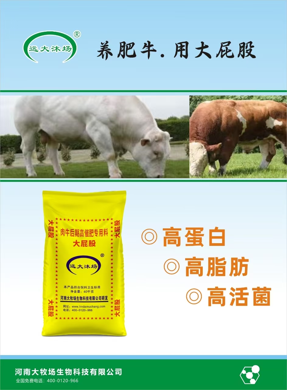 大屁股